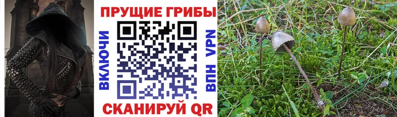 Галлюциногенные грибы MAGIC MUSHROOMS  Мамадыш 